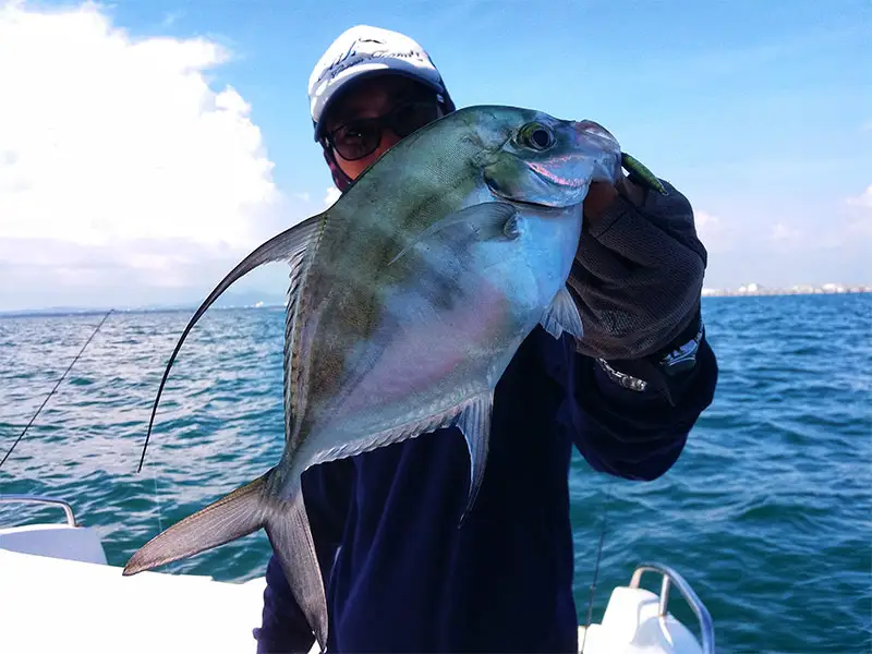 Los Barriles Baja California Sur México